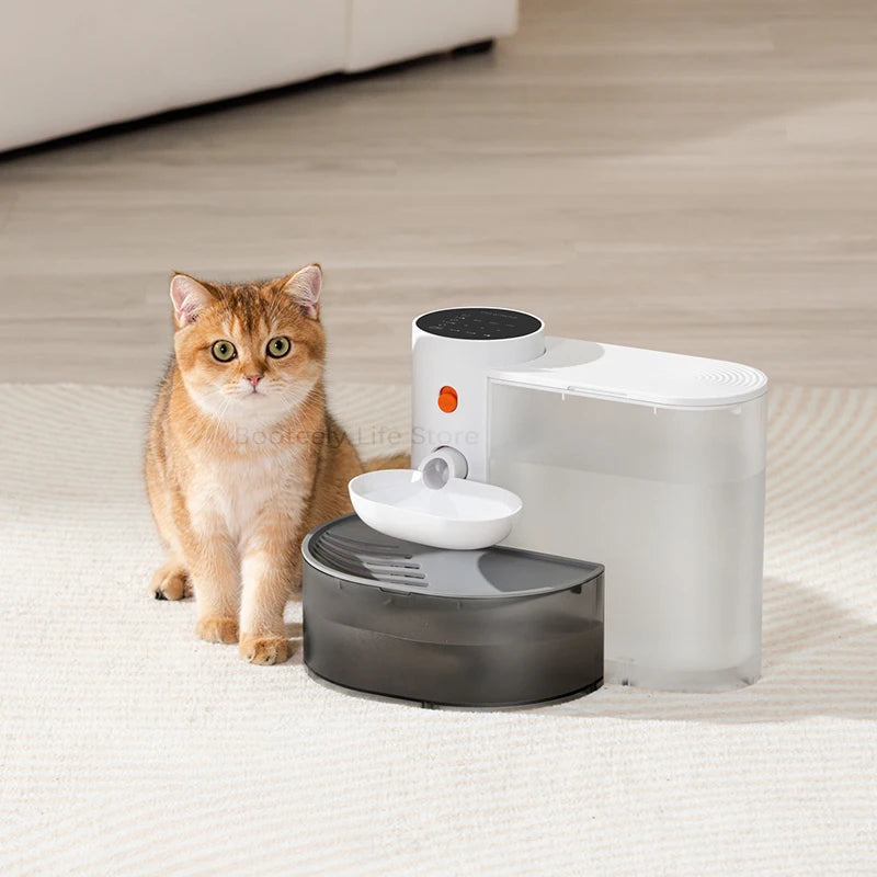 fontaine à eau pour chien et chat
