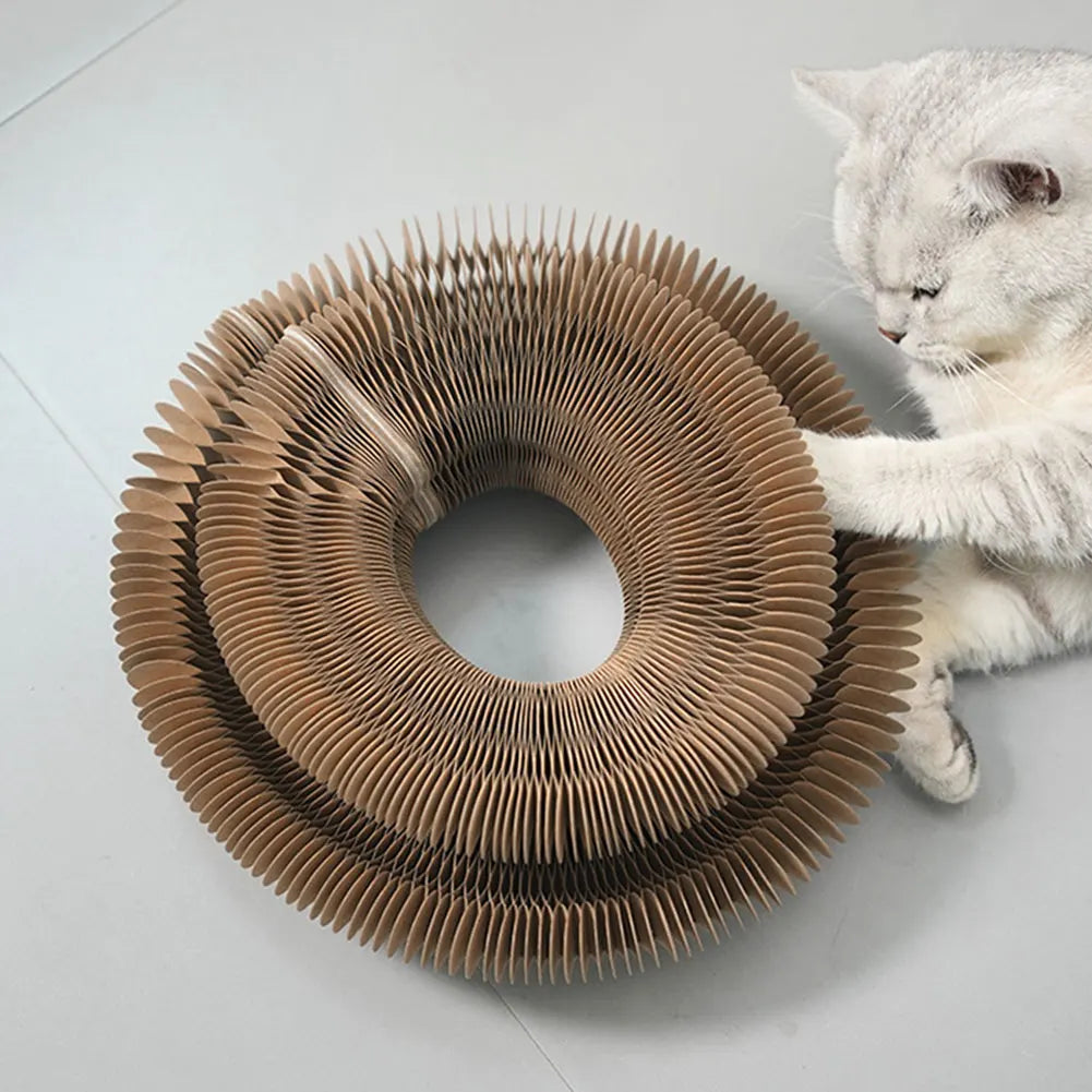Planche à Gratter Magique pour Chat, Jouet Interactif en Accordéon, Fournitures pour Animaux de Compagnie