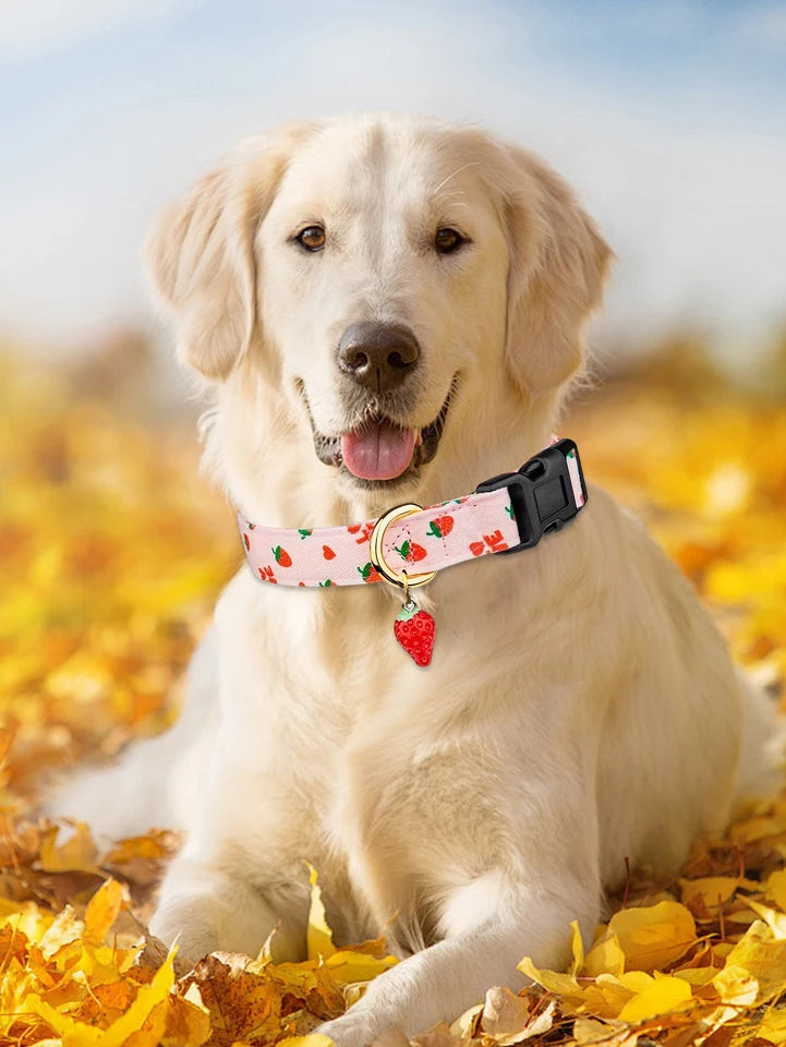 collier pour chien de Noel