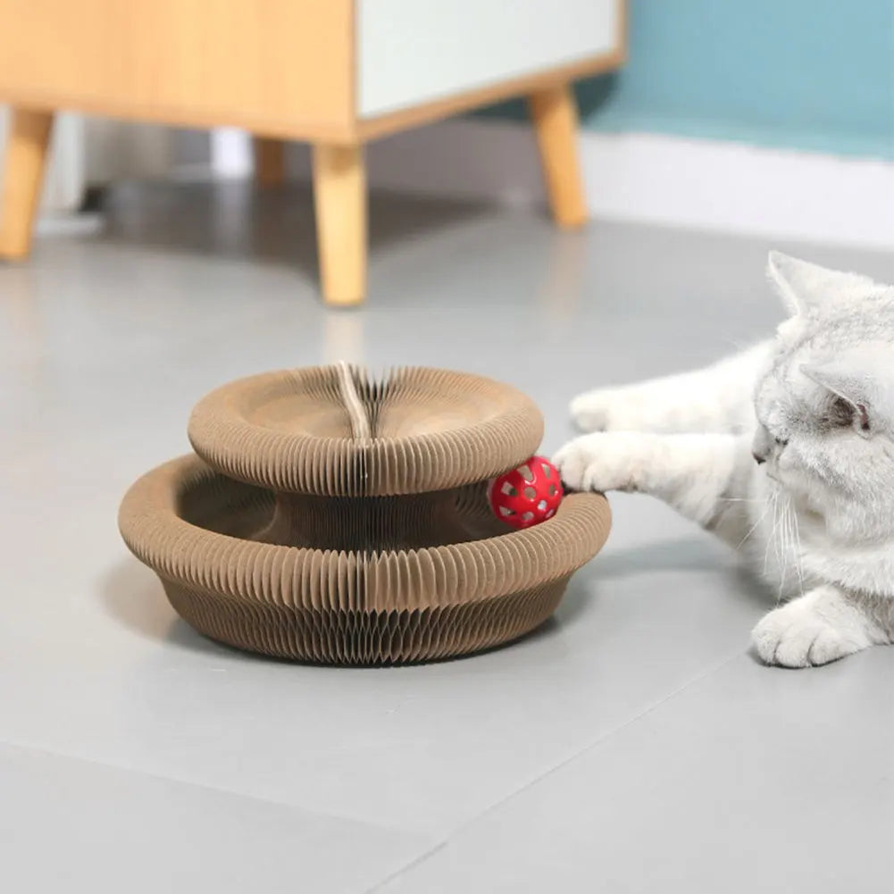 Planche à Gratter Magique pour Chat, Jouet Interactif en Accordéon, Fournitures pour Animaux de Compagnie