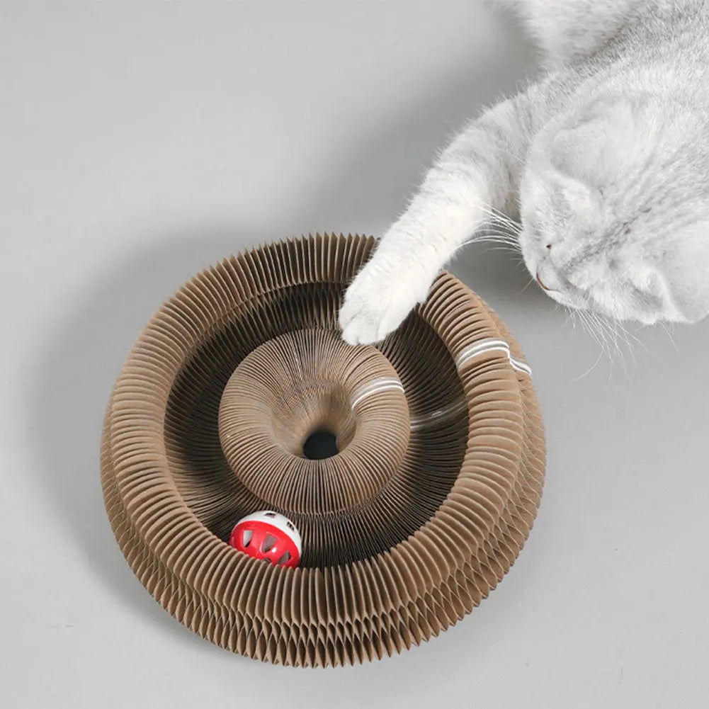 Planche à Gratter Magique pour Chat, Jouet Interactif en Accordéon, Fournitures pour Animaux de Compagnie