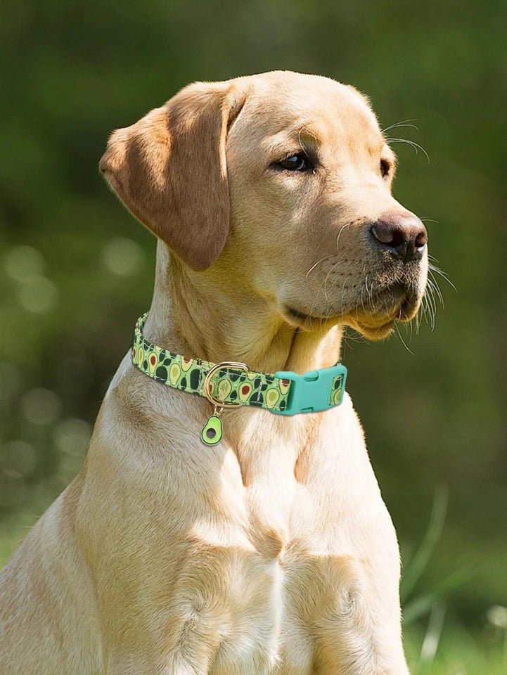 collier pour chien de Noel